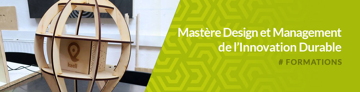 , Master Sustainable Design Management - Mastère Design Management & Développement Durable