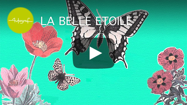 La belle étoile