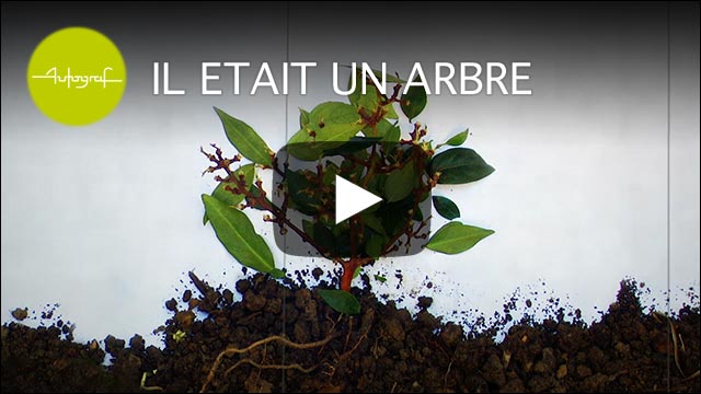 Il était un arbre